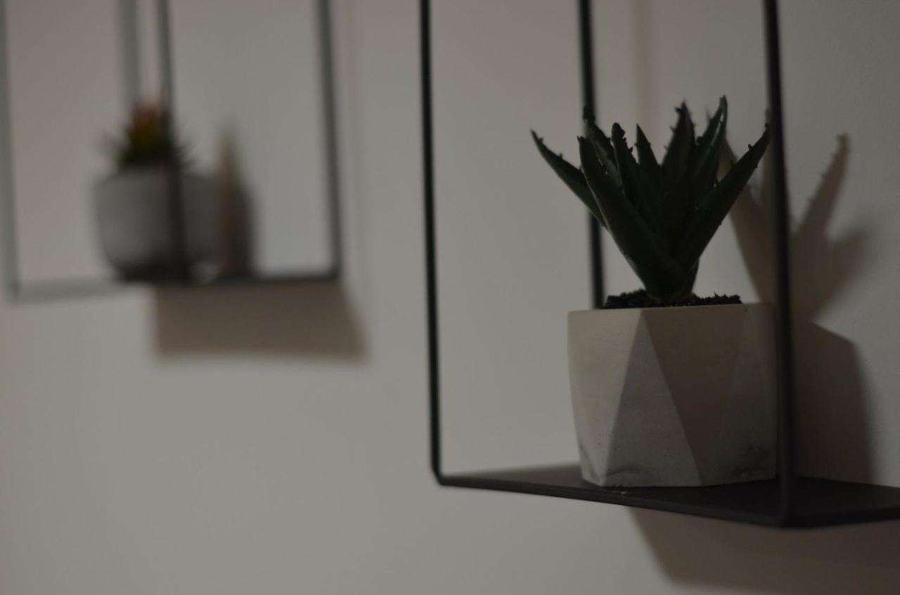 Apartman N&A Nowy Sad Zewnętrze zdjęcie